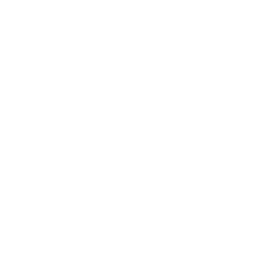 AVM.png