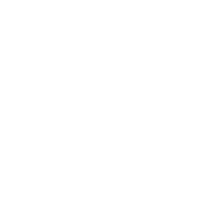 Xiaomi.png